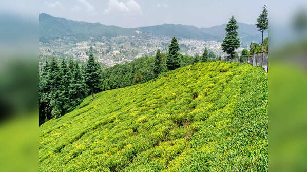 Munsiyari, Uttarakhand