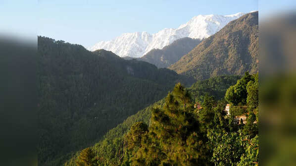 Chaukori, Uttarakhand