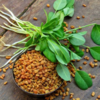 Fenugreek seeds (methi)