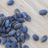 Watermelon seeds