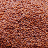 Garden cress seeds (halim)