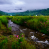 Ziro Valley, Arunachal Pradesh