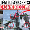 Article image for: Brooklyn Bridge DISASTER: <i class="tbold">mexican navy</i> Ship Cuauhtémoc Slams NYC Landmark | Sailors In Peril Caught On Cam