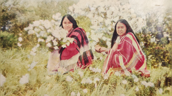Timeless grace: Tangkhul women with Shirui lily