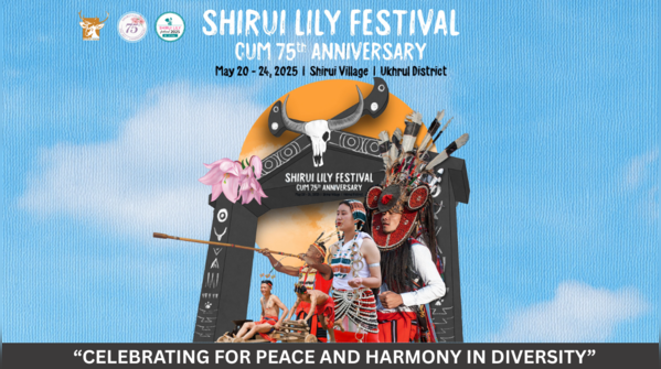 Shirui Lily festival marks 75th anniversary