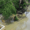 Bengaluru Rain News Today Live Updates: Karnataka CM Siddaramaiah to visit rain-hit areas at 4pm today