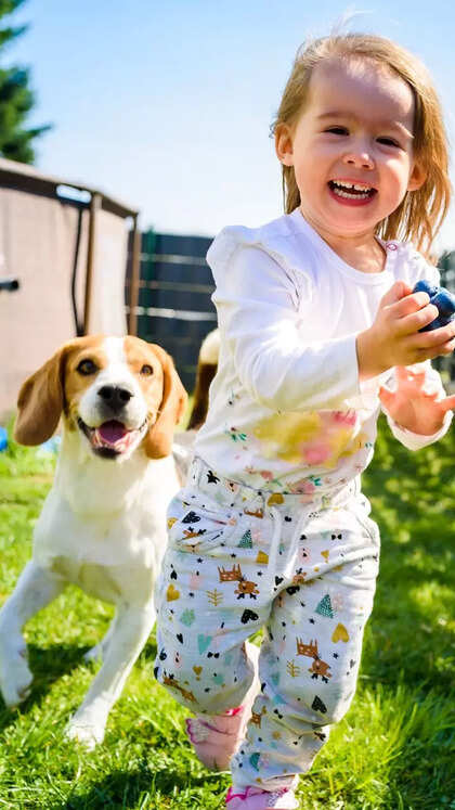 Top 10 small pet dog breeds that are perfect for kids and families