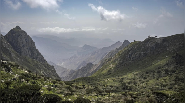 View from the summit