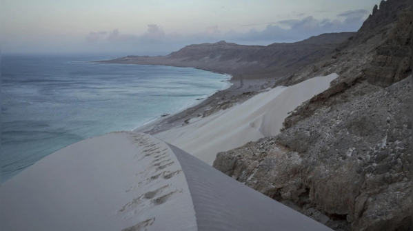 Where the desert meets the sea