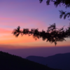 Yercaud