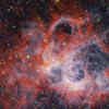NGC 604