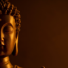 The root of suffering is attachment