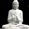 A disciplined mind brings happiness
