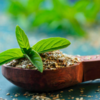 Article image for: 5 reasons to include <i class="tbold">basil</i> in summer diet for health benefits