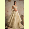 Net lehengas with minimal embroidery