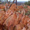 Jack Hills, Australia