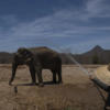 Cooling Off: Elephant gets a refreshing spray