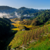 Ziro Valley, Arunachal Pradesh