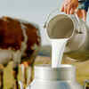 Side effects of raw milk