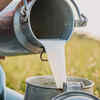 Benefits of raw milk