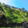 Vagamon, Kerala