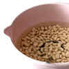 Why soak legumes?