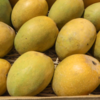 Make and freeze mango puree