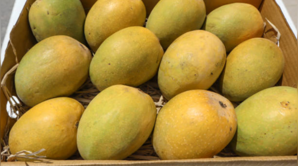 Make and freeze mango puree