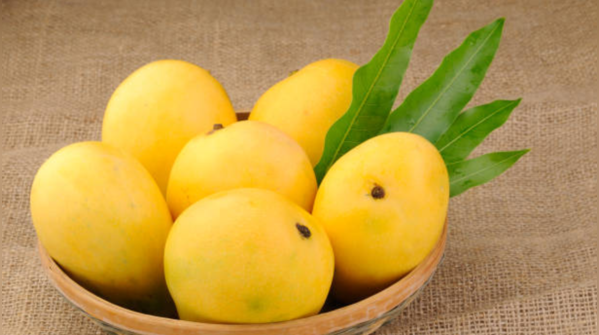 Dry mangoes for a sweet snack