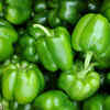 Bell Pepper
