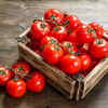 Tomatoes