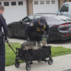 Officers rescue injured dog 