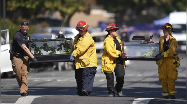 Emergency crew rescues reptile terrariums from crash zone