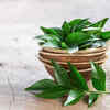 Curry leaves