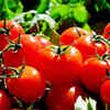 ​Folate (Vitamin B9)