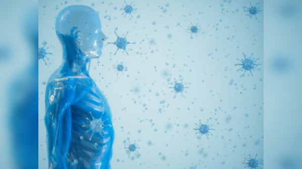 Immune system support