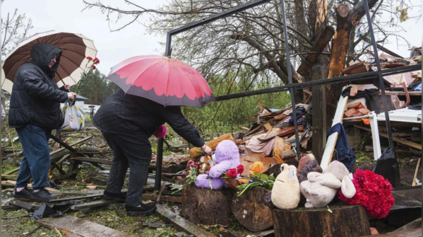 Grief and flowers amid rubble