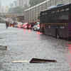 Traffic grinds to a halt<strong>​</strong>