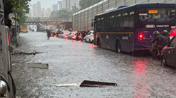 Traffic grinds to a halt<strong></strong>