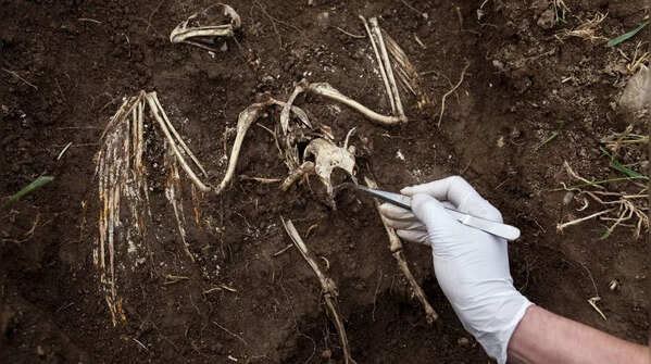 Future research may unlock more stories
