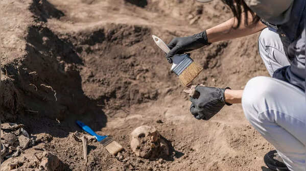 A deeper look into shared histories