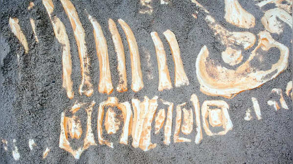 Burial points to cultural practices