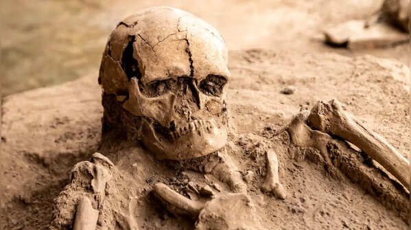 Skeleton shows both human and neanderthal features