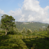 Kotagiri, Tamil Nadu