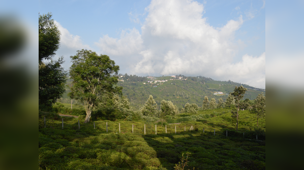 Kotagiri, Tamil Nadu