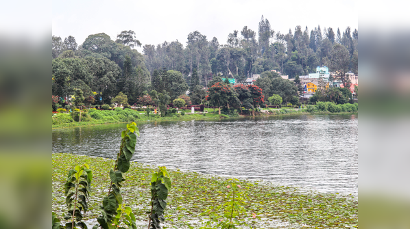 Yercaud, Tamil Nadu