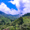 Coonoor, Tamil Nadu