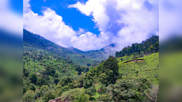 Coonoor, Tamil Nadu