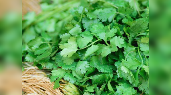 Coriander