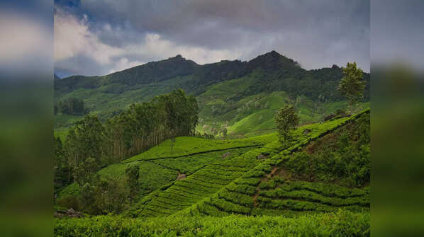 Hulikal, Karnataka